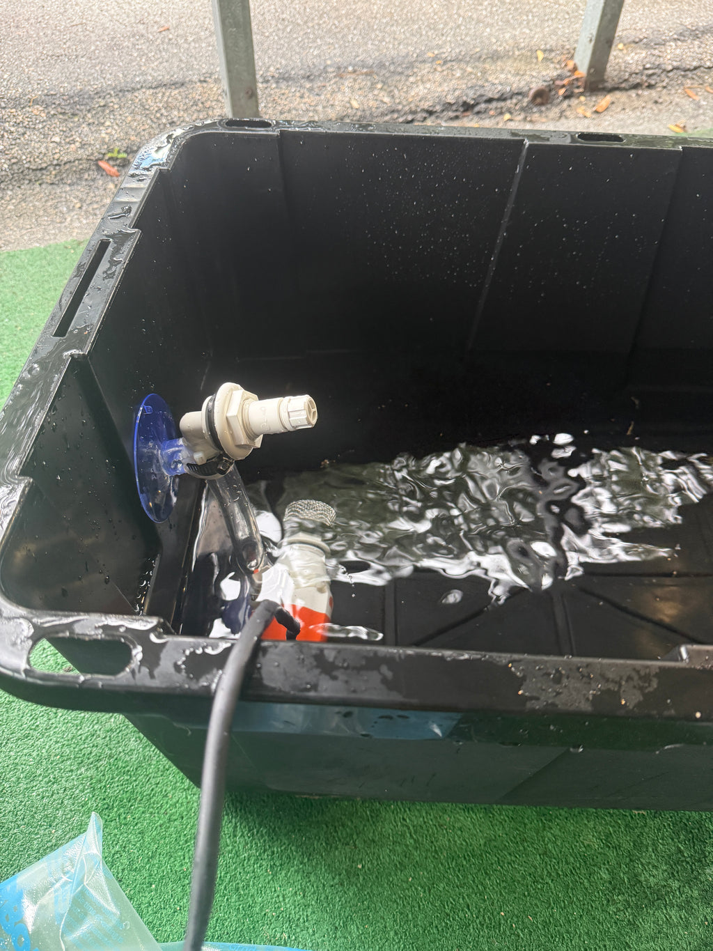 Portable Live Well Setup- Turn any container into a Live Well