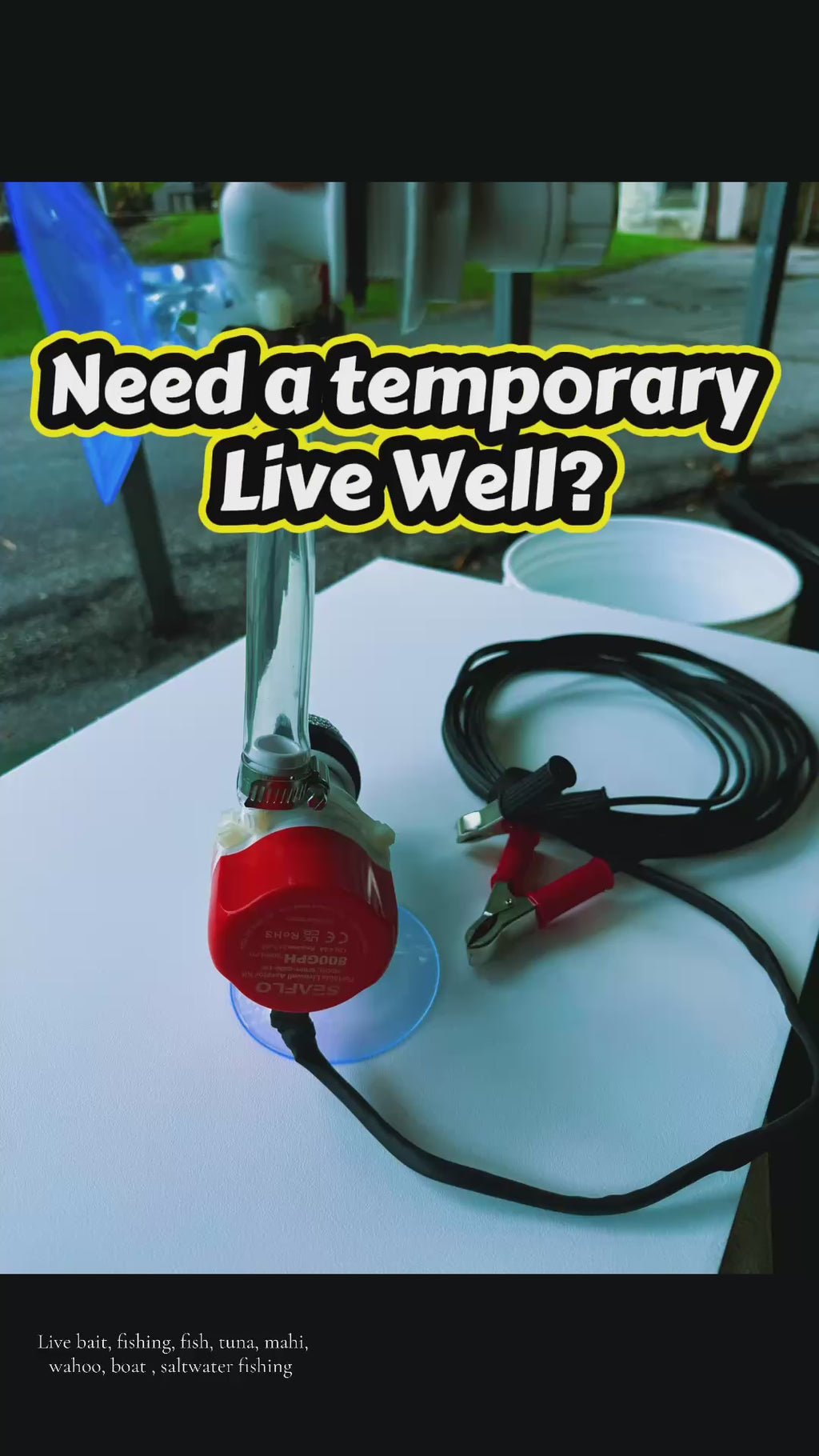 Portable Live Well Setup- Turn any container into a Live Well